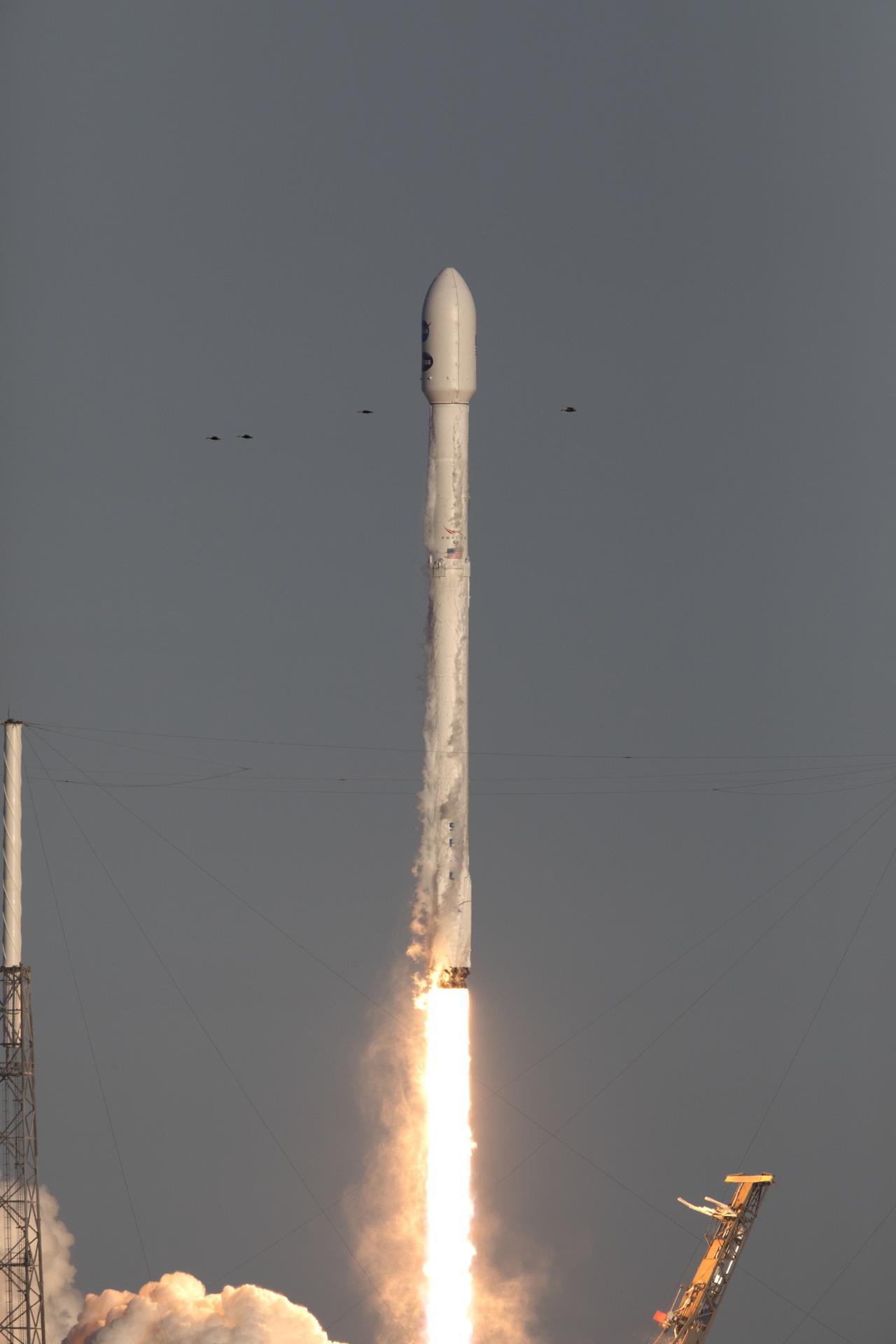 TESS를 실은 Falcon 9 로켓 발사 장면